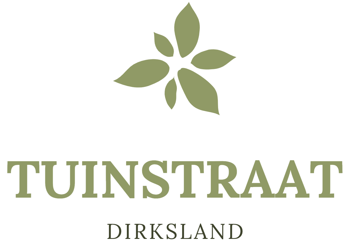 Tuinstraat Dirksland